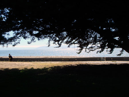 View from Alameda
